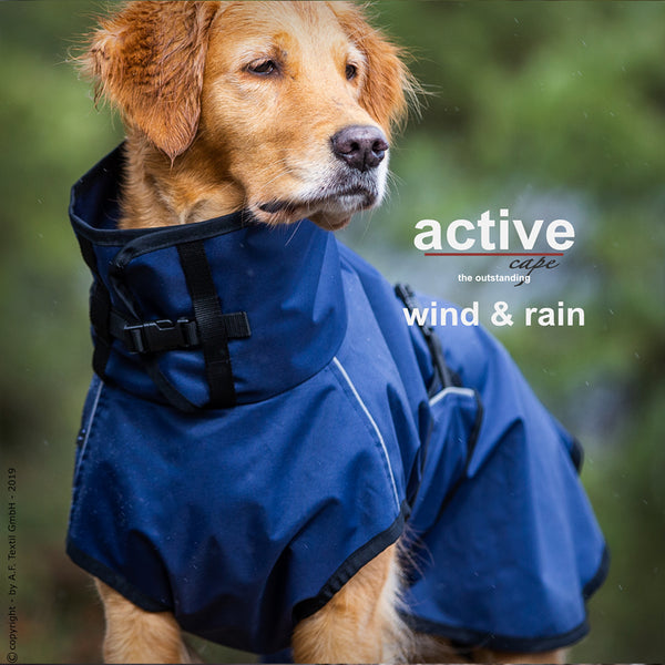 ACTIVE CAPE WIND & RAIN