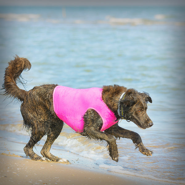 AXAECO ALL-ROUNDER WESTE