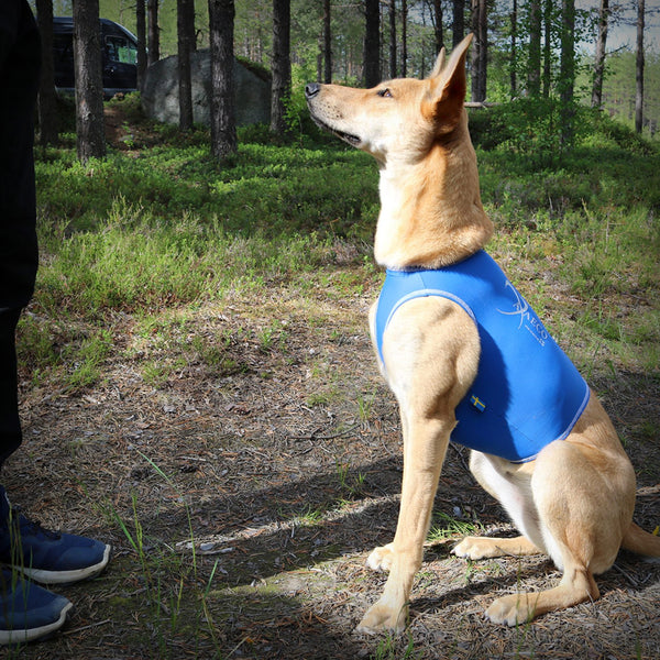 AXAECO ALL-ROUNDER WESTE