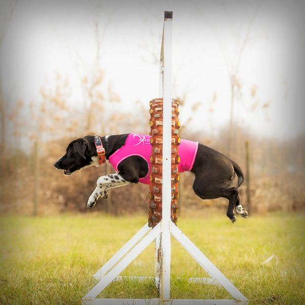 AXAECO ALL-ROUNDER WESTE