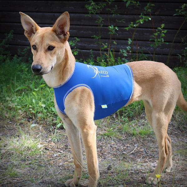 AXAECO ALL-ROUNDER WESTE