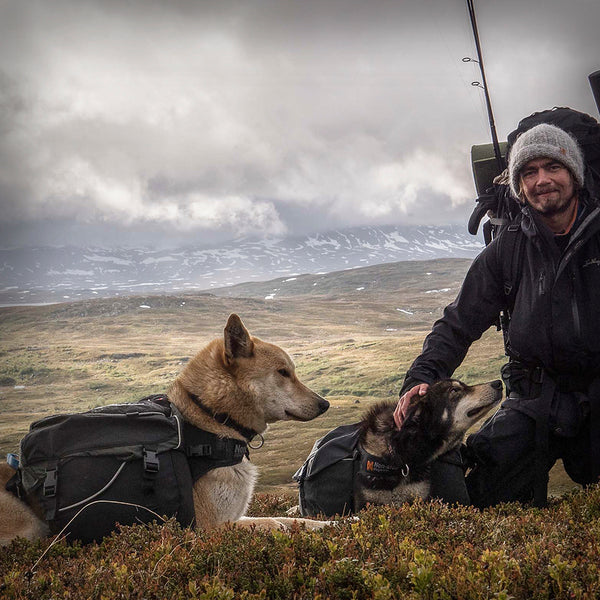 NON-STOP AMUNDSEN HUNDE PACKTASCHE - Der Amundsen Pack ist ein ergonomisch entwickelter Rucksack für Hunde. Aufgrund seiner aussergewöhnlichen Passform, seinen vielfältigen Einstellmöglichkeiten und der optimalen, rückenschonenden Gewichtsverteilung trägt dein Hund seine Sachen und sein Futter auch über weite Strecken entspannt selbst.
