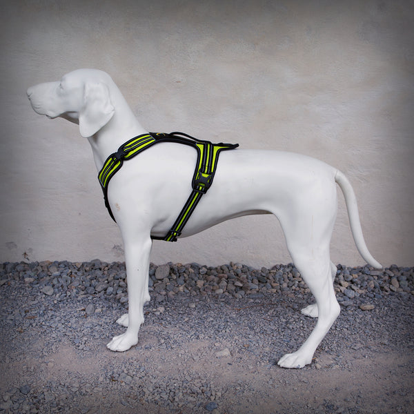 BRUSTGESCHIRR 4 SEASON POWER