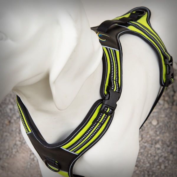 BRUSTGESCHIRR 4 SEASON POWER