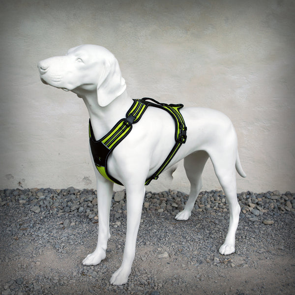 BRUSTGESCHIRR 4 SEASON POWER