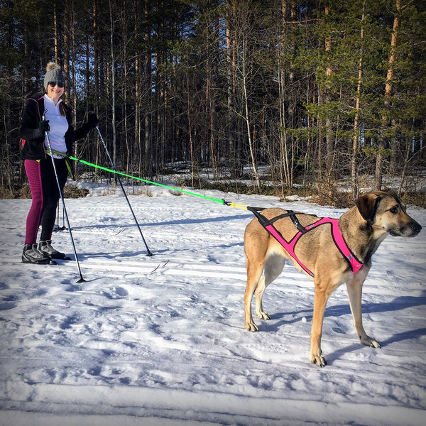 AXAECO X-SCHIRT ZUGGESCHIRR- Ideale Mischung aus Faster Geschirr und X-Back. Breite Posterung für idealen Sitz, eben wie ein T-Shirt. Dieses Zuggschirr ist ein klassisches Langgeschirr und für alle Zughundesportarten geeignet, es liegt sehr gut bei der Zugarbeit am Körper an.