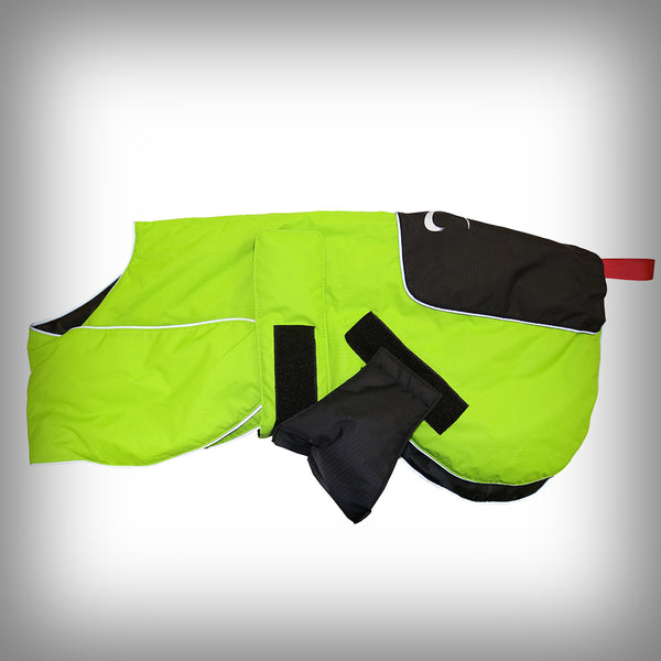 AXAECO DOG COAT ICE OLATION