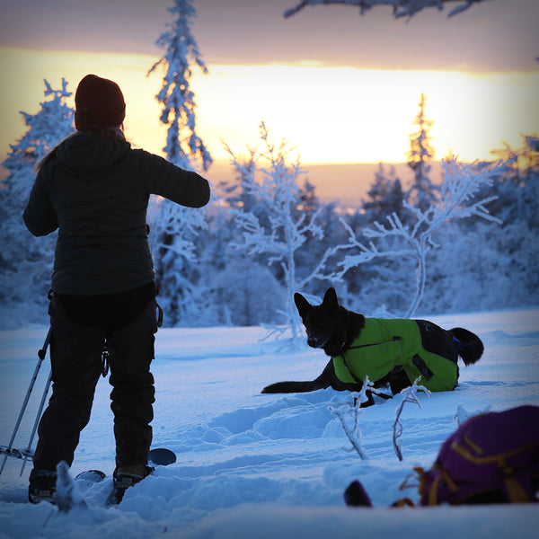 AXAECO DOG COAT ICE OLATION