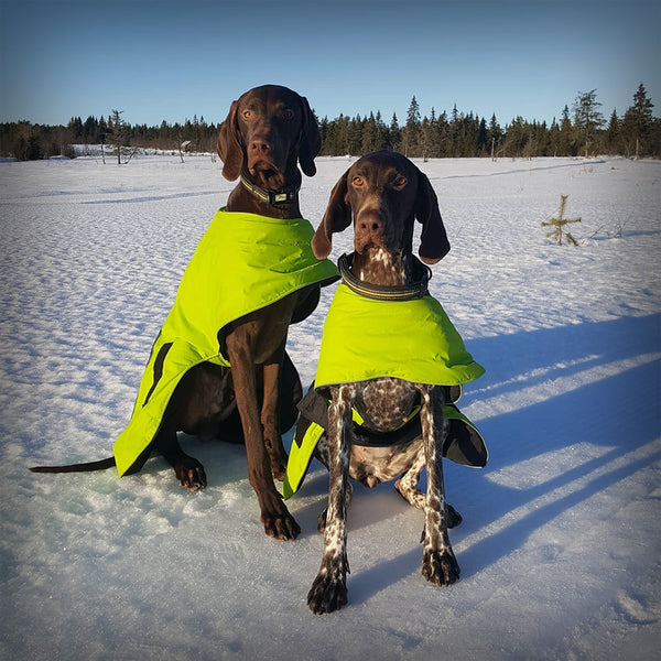 AXAECO DOG COAT ICE OLATION