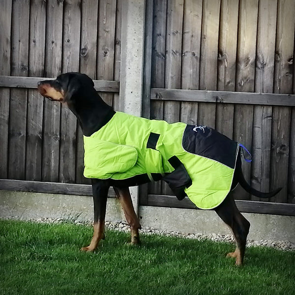 AXAECO DOG COAT ICE OLATION