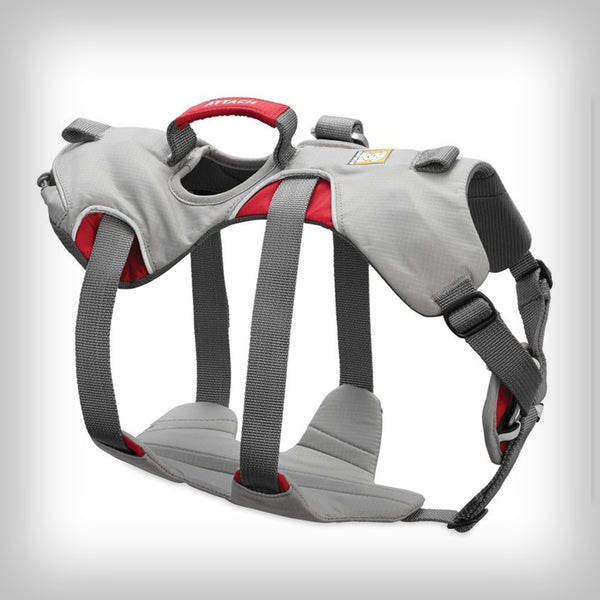 DOUBLEBACK "KLETTER"-GESCHIRR