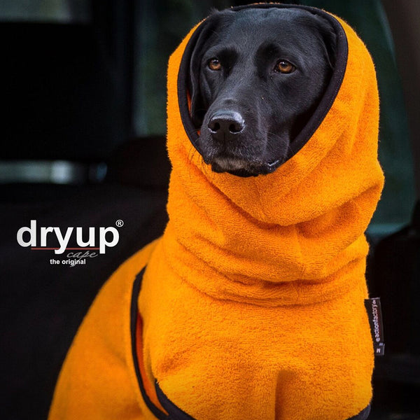 DRYUP CAPE