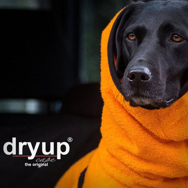 DRYUP CAPE