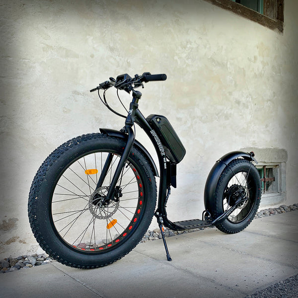 Kickbike fatmax store