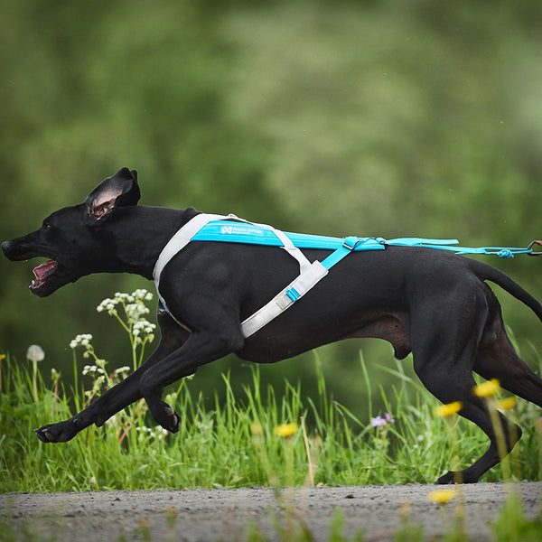 ZUGGESCHIRR FREEMOTION 5.0