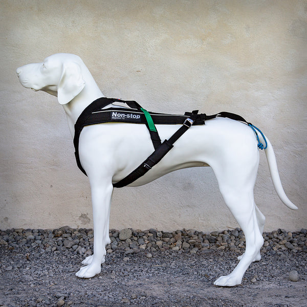 ZUGGESCHIRR FREEMOTION