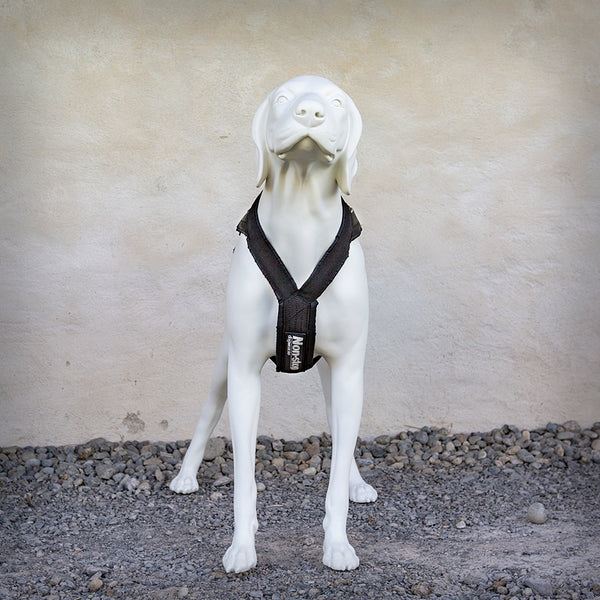 ZUGGESCHIRR FREEMOTION