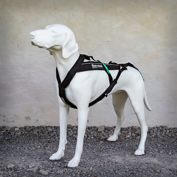 NON-STOP ZUGGESCHIRR FREEMOTION - Das Freemotion Harnest (Zuggeschirr) ist ein speziell entwickeltes Geschirr, welches einen Zugpunkt generiert, der die Bewegungsfreiheit sowie die Kraftübertragung bei jedem Schritt optimiert. Es eignet sich für alle Sportarten bei denen der Zugpunkt hoch liegt