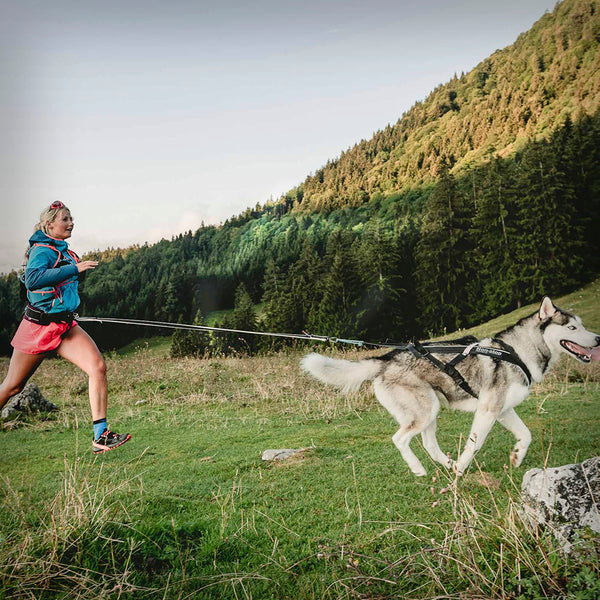 ZUGGESCHIRR FREEMOTION