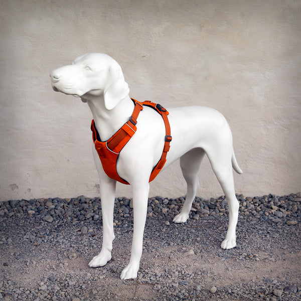 FRONT RANGE GESCHIRR