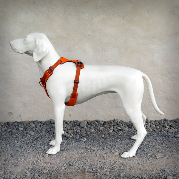 FRONT RANGE GESCHIRR