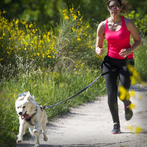 I-DOG GESCHIRR STYLE