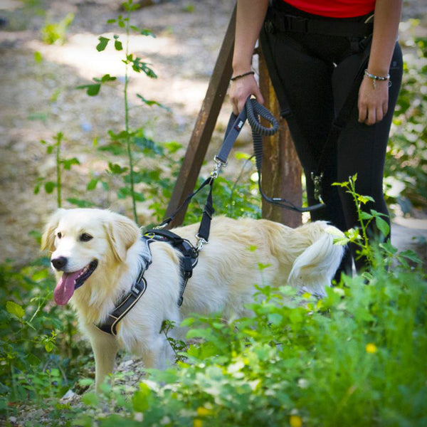 I-DOG GESCHIRR STYLE