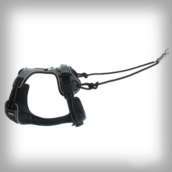 I-DOG GESCHIRR STYLE