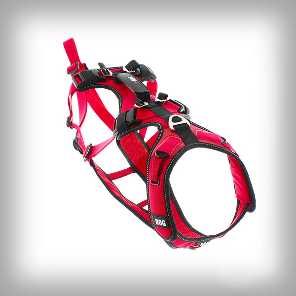 I-DOG GESCHIRR CONFORT TREK