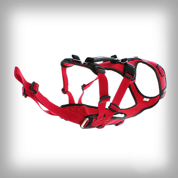 I-DOG GESCHIRR CONFORT TREK