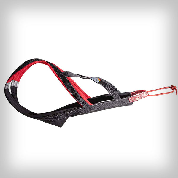 SLEDWORK XBACK ACTIVE G3 MIDI