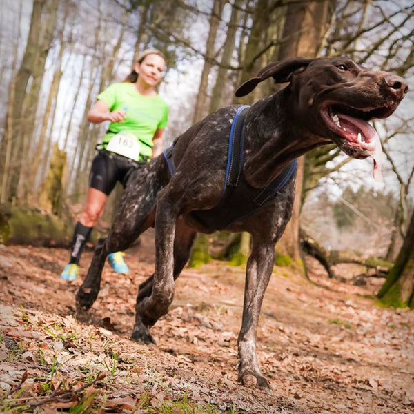 SLEDWORK XBACK ACTIVE G3 MIDI