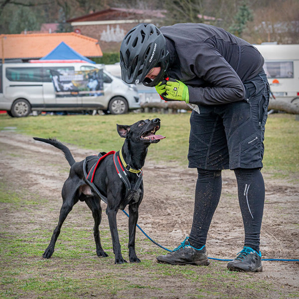 SLEDWORK XBACK ACTIVE G3 MIDI