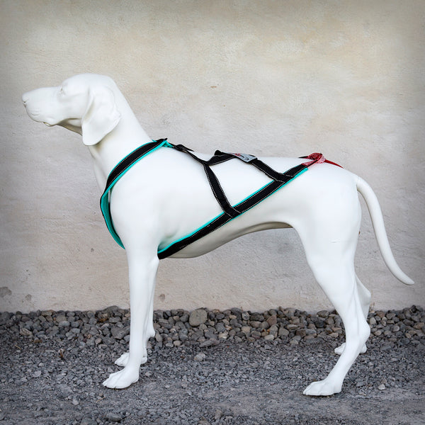 SLEDWORK XBACK ACTIVE G2- Das Xback active G2 (Generation 2) besitzt die DNA der bewährten Xback-Geschirre, ist aber trotzdem in wesentlichen Teilen eine komplette Neuentwicklung. Für den Hals- und Brustbereich wird ein Schnittteil aus Nylongewebe verwendet so wird eine deutliche Optimierung der geometrischen Verhältnisse erziehlt. Durch die Form direkt am Brustbein entsteht kein Druck auf die Luftröhre und die grossen Gefässe im Hals.