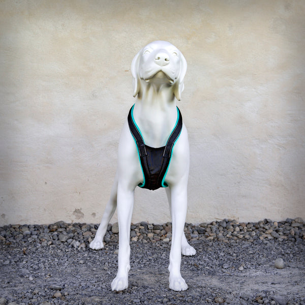 SLEDWORK XBACK ACTIVE G2- Das Xback active G2 (Generation 2) besitzt die DNA der bewährten Xback-Geschirre, ist aber trotzdem in wesentlichen Teilen eine komplette Neuentwicklung. Für den Hals- und Brustbereich wird ein Schnittteil aus Nylongewebe verwendet so wird eine deutliche Optimierung der geometrischen Verhältnisse erziehlt. Durch die Form direkt am Brustbein entsteht kein Druck auf die Luftröhre und die grossen Gefässe im Hals.