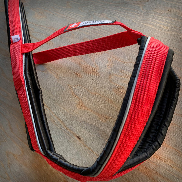 ZUGGESCHIRR SPEED LINE MINI