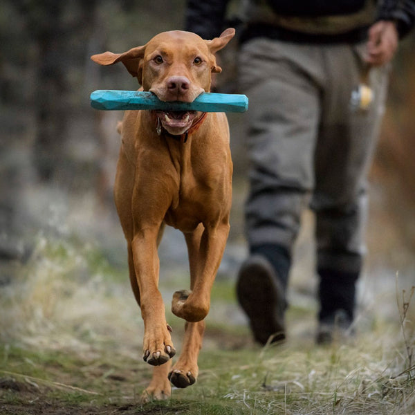 RUFFWEAR GNAWT-A-STICK