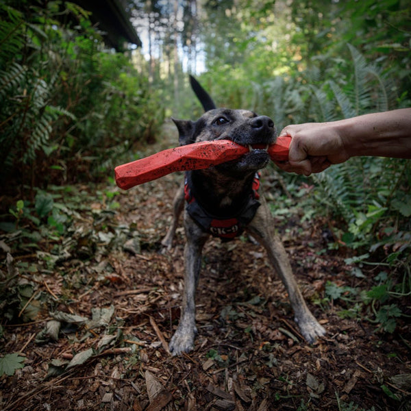 RUFFWEAR GNAWT-A-STICK