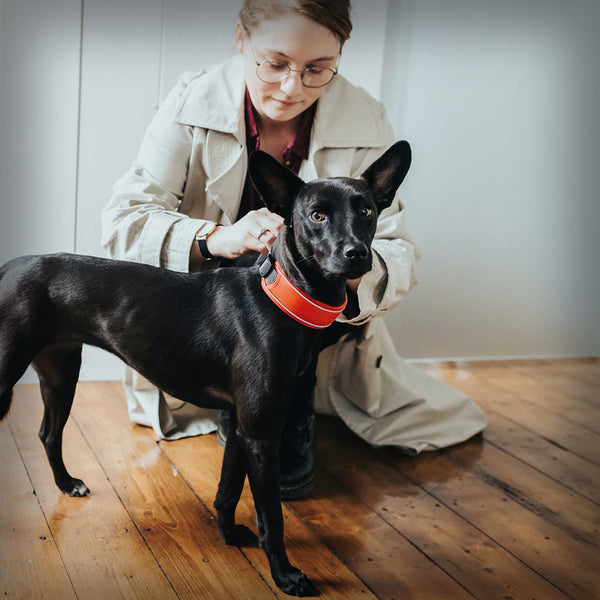 BREITES HALSBAND DIVO