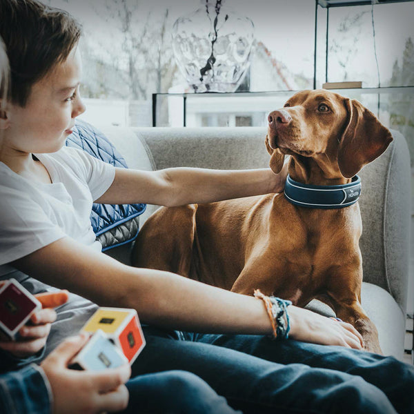 BREITES HALSBAND DIVO