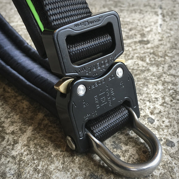 HALSBAND KLICK-SAFE MIT D-RING