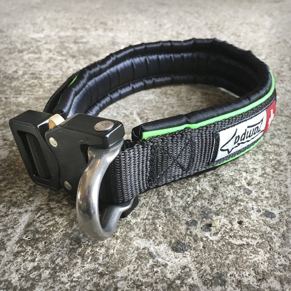 HALSBAND KLICK-SAFE MIT D-RING