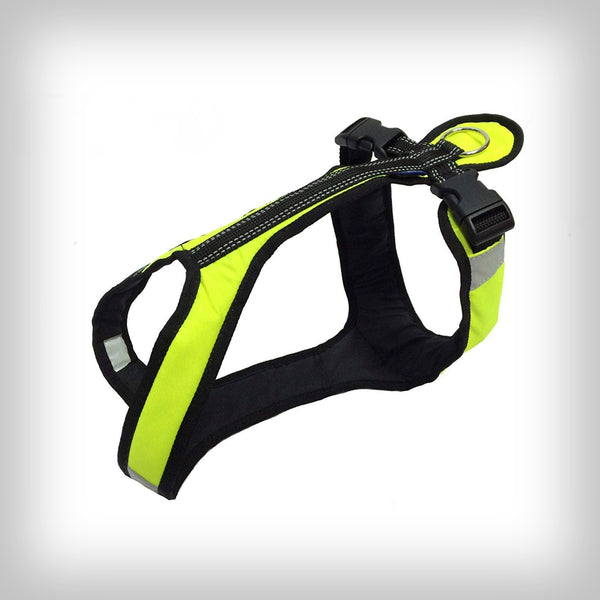 ZERO DC GESCHIRR SAFETY SHORT