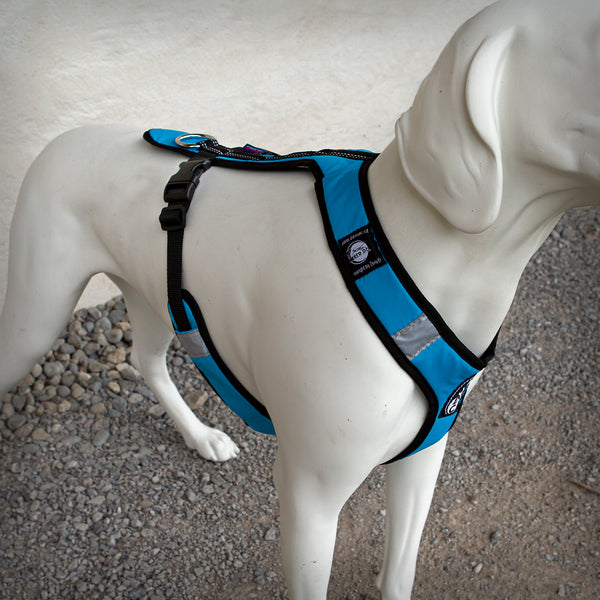 ZERO DC GESCHIRR SAFETY SHORT