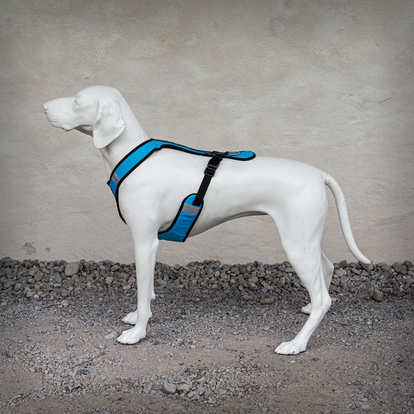 ZERO DC GESCHIRR SAFETY SHORT