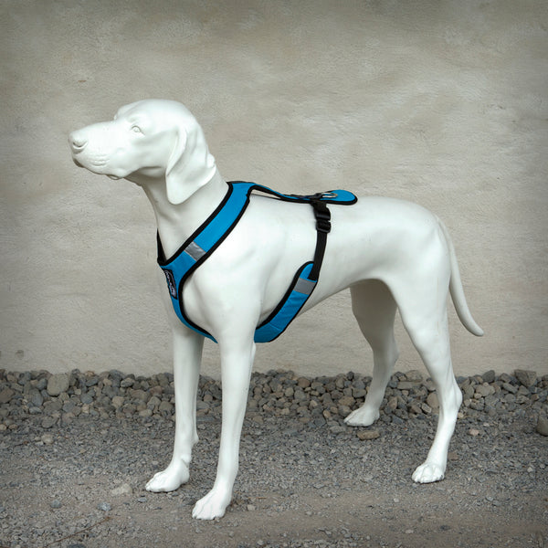 ZERO DC GESCHIRR SAFETY SHORT