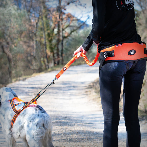 GURT CANICROSS ONE LIGHT FÜR KINDER