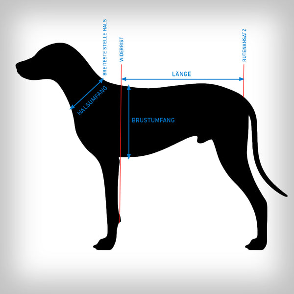 ZERO DC ZUGGESCHIRR FASTER