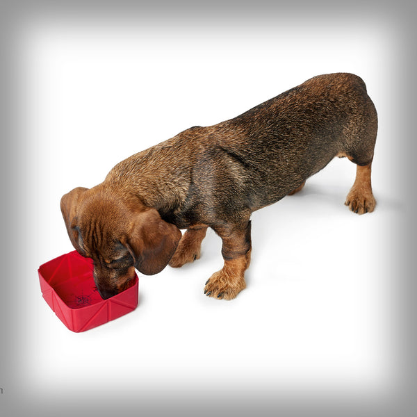 SILIKON FALT-REISENAPF LIST