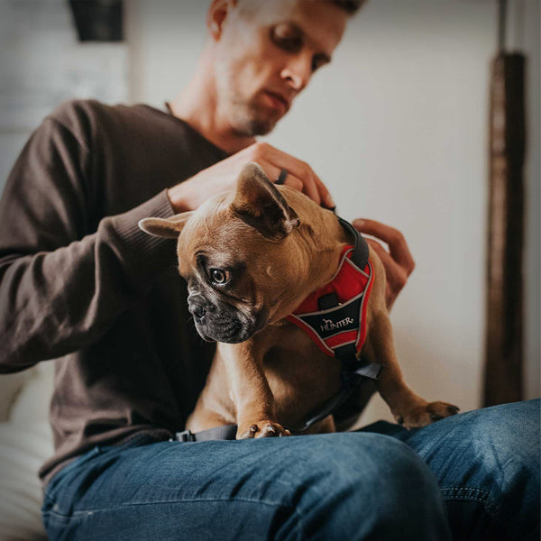 HUNTER BRUSTGESCHIRR DIVO